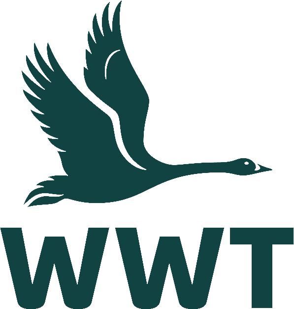 WWT logo